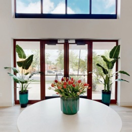 decor on a table